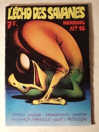 Couverture Echos des savanes 16