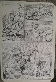 Ron Randall - Warlord #83.             D.C. Comics - Comic Strip
