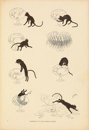 Série petite histoire du chat et du poisson rouge Série petite histoire du chat et du poisson rouge