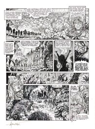 Comic Strip - Mortepierre - Tome 2, planche 14