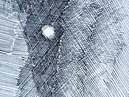Détail 4 Détail 4