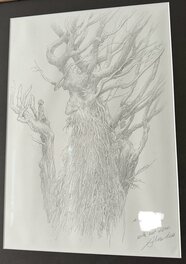 Alan Lee - Treebeard - Illustration originale