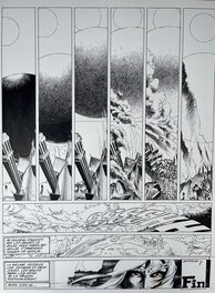 5 5