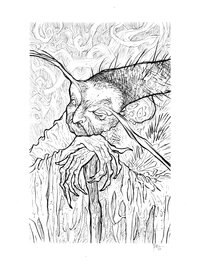 Bruno Maïorana - Garulfo - réf54 - Original Illustration