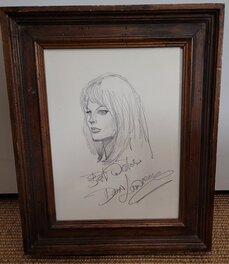 Framed Framed