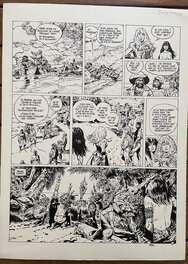 Franz - COMPAGNONS DE FORTUNE - Comic Strip