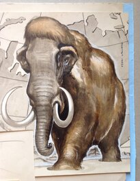 Detail du Mammouth