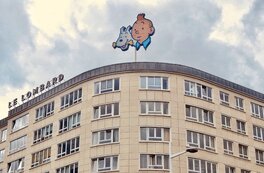 Tintin