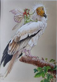 Bruno Bessadi - Vautour - Illustration originale