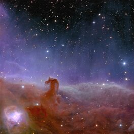 Constellation d'Orion. Constellation d'Orion.