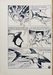 Page 11 Page 11