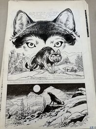 César Spadari - White Fang - Comic Strip