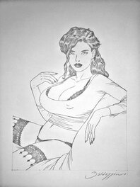 Roberto Baldazzini - Zelmira la gnaffa - Original Illustration