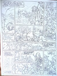 Olivier Taffin - Orn - Planche originale