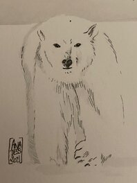 Ana Dess - Ana Dess, illustration originale, Ours polaire. - Planche originale