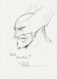 Wolverine