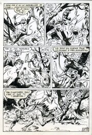 Augusto Pedrazza - Akim - Comic Strip