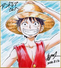 One Piece (ワンピース) · Monkey D. Luffy (モンキー・D・ルフ)