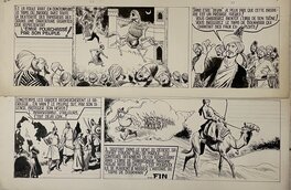 Eduardo Coelho - Nasdine Hodja - Comic Strip