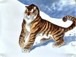 Frank Pé - Tigre des neige - Original Illustration