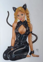 Jean Medeiros - Catwoman - Illustration originale