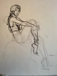 F. Meynet F. Meynet