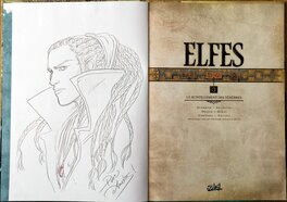 Elfes (tome 30)