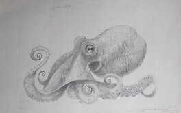 Marco Leoni - Octopus by Marco Leoni - Illustration originale
