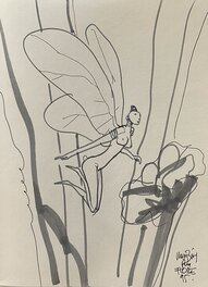 Dédicace Moebius