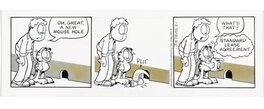 Jim Davis - Garfield - Comic Strip