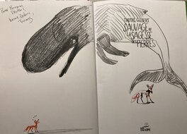 Sauvage ou la sagesse des pierres