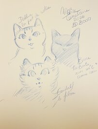 Les chats de Marine