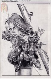 Grimm Fairy Tales Team-Up Robyn Hood & Van Helsing #1 Cover A
