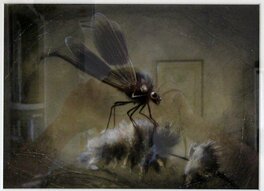 Benjamin Lacombe - Fée et libellule - Illustration originale