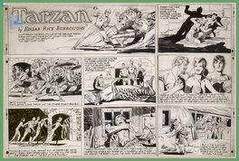 Bob Lubbers - Bob LUBBERS  - TARZAN Sunday Page  30-25-1951 - Comic Strip