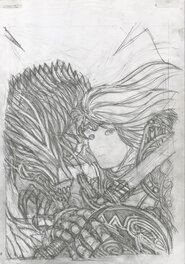 Moi Dragon, La saga - Couverture préliminaire