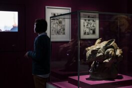 Exposition au Louvre-Lens 2023/24 "Les Animaux Fantastiques "