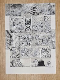 Pierre-Denis Goux - Nains tome 21 planche 03 - Planche originale