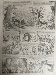 Eric Lenaerts - Jacques Martin par Eric Lenaerts, planche originale, "Les Voyages d'Alix, Les Vikings". - Planche originale