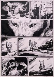 Jean-Marc Rochette - Planche Originale Le Loup de Rochette - Planche originale