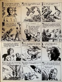 Comic Strip - Liliane & Fred Funcken, planche originale, Harald le Viking, "La Lueur Verte".