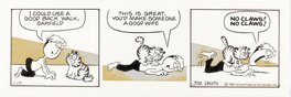 Jim Davis - Garfield daily 1980 - Comic Strip