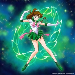 Sailor Jupiter from the anime Sailor Jupiter from the anime
