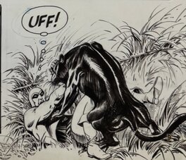 César Spadari - Phantom original art - Comic Strip