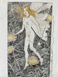 Andréi Arinouchkine - Nu : Fée des bois - Comic Strip