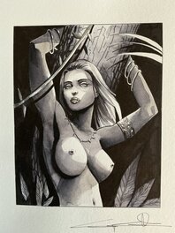 Guiseppe Candita - Sheena queen of the jungle - Illustration originale