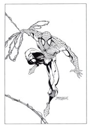 Stefano Raffaele - Raffaele, illustration de Spider-Man, 1996. - Original Illustration