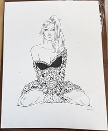 Zoé Carrington #2 - couverture (grand format)