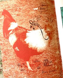 Du Coq à l'Ane