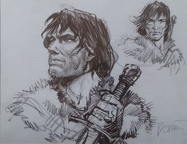 Grzegorz Rosinski - Thorgal - Comic Strip